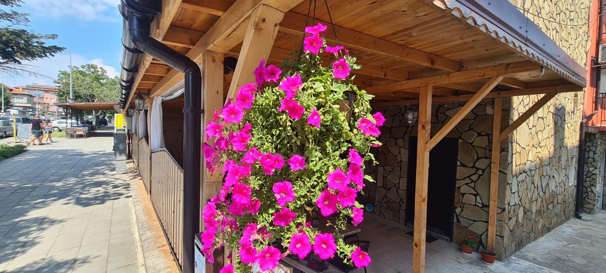 רבדה Sineva Guest House מראה חיצוני תמונה