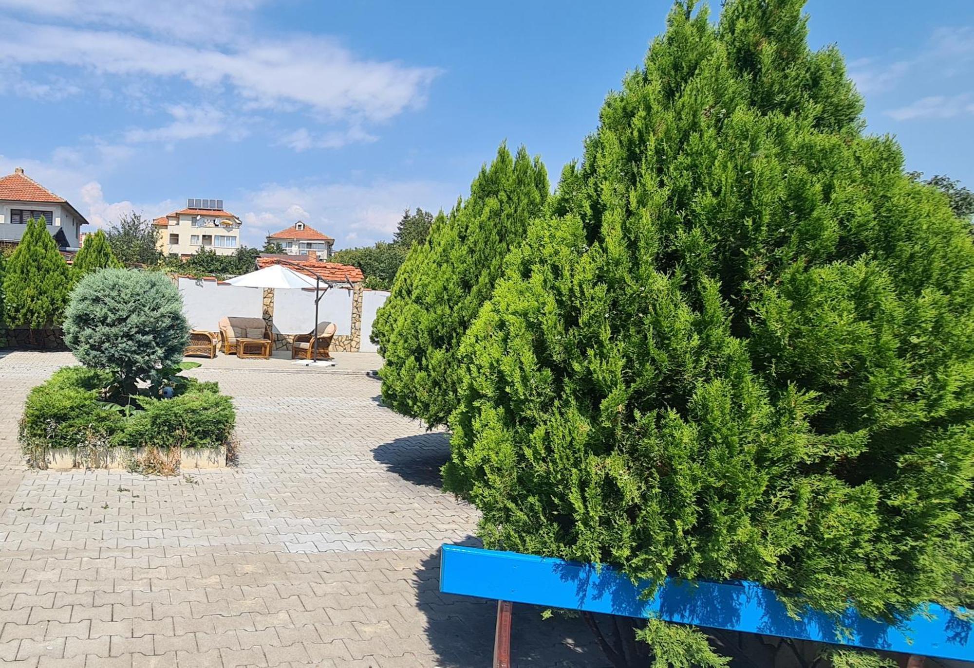 רבדה Sineva Guest House מראה חיצוני תמונה